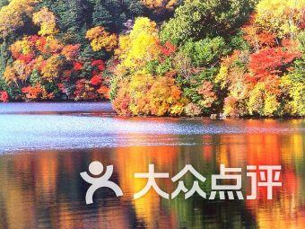 宝可梦探险寻宝